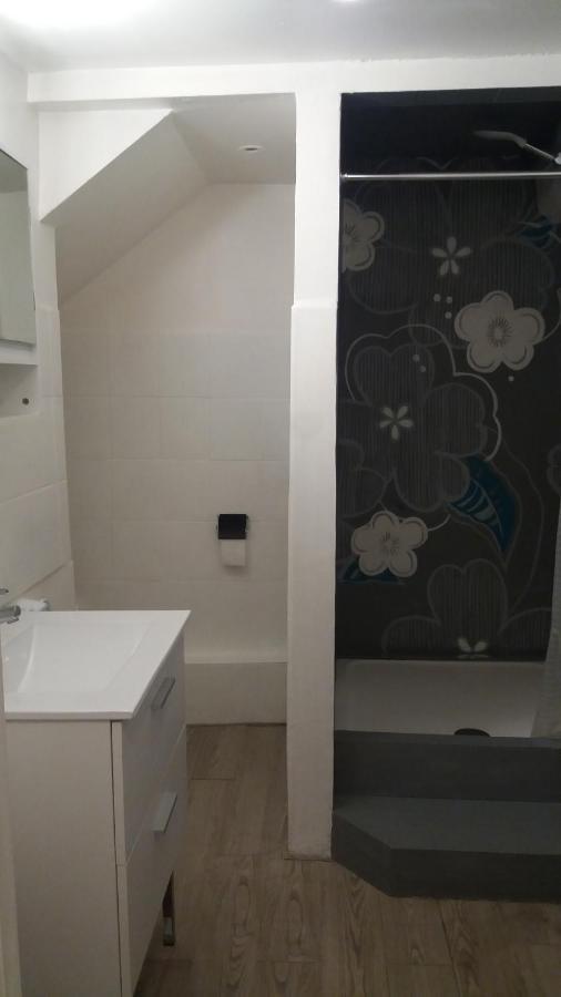 Appartement Meublé Type T2 Metz Exterior foto